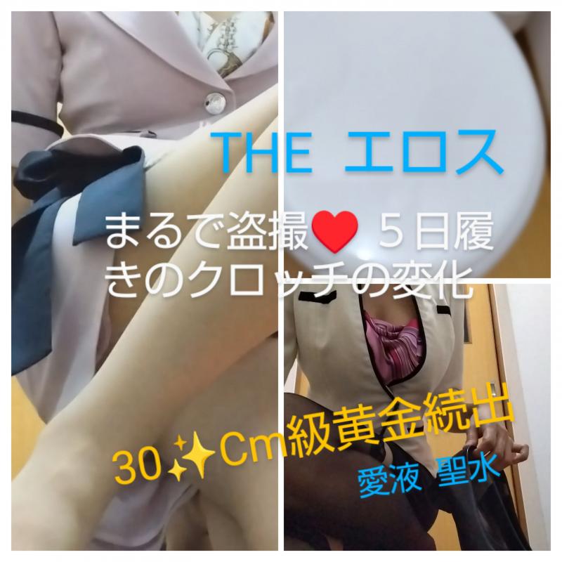 出品者名-写真